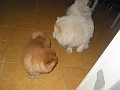20100811 026